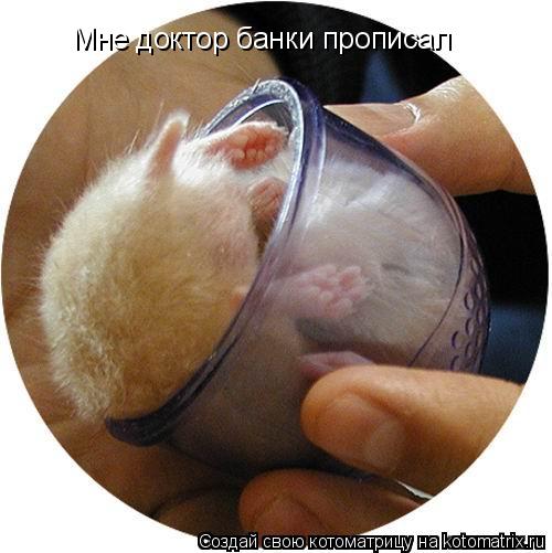 Мне доктор банки прописал... Котоматрица: Мне доктор банки прописал