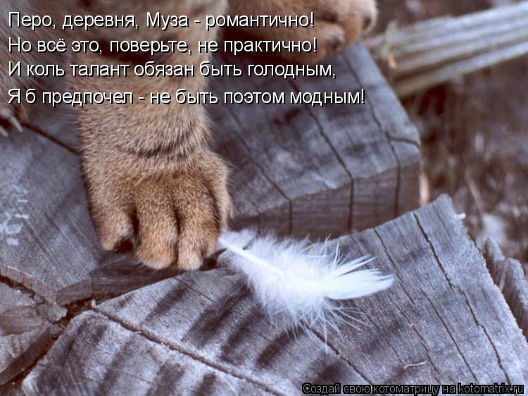 Котоматрица: Перо, деревня, Муза - романтично!  Но всё это, поверьте, не практично! И коль талант обязан быть голодным, Я б предпочел - не быть поэтом модным!