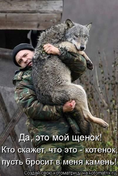 Да, это мой щенок! Кто скажет, что это - котенок, пусть бросит в меня камень!... Котоматрица: Да, это мой щенок! Кто скажет, что это - котенок, пусть бросит в меня камень!