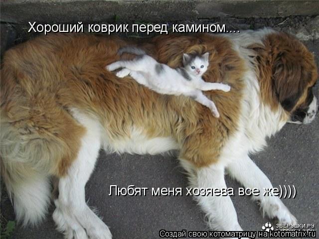 Котоматрица: Хороший коврик перед камином.... Любят меня хозяева все же))))