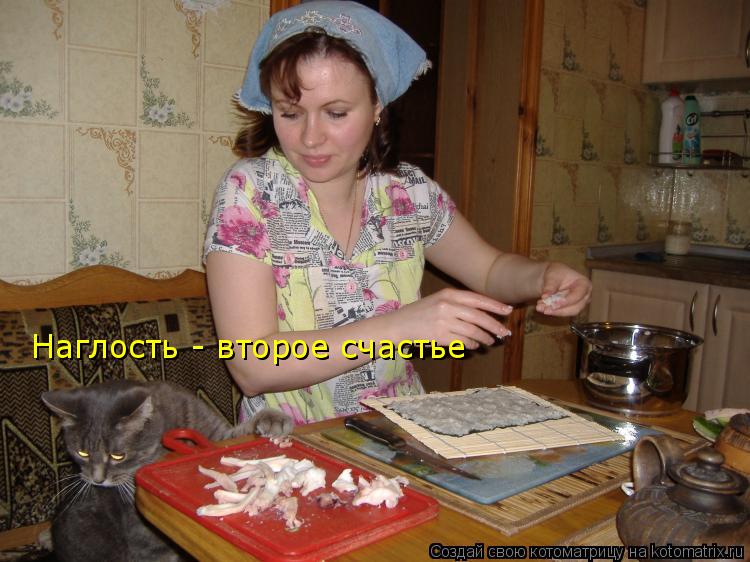 Наглость - второе счастье... Котоматрица: Наглость - второе счастье