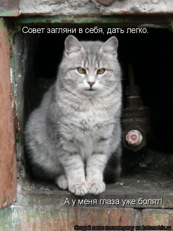 Совет загляни в себя, дать легко. А у меня глаза уже болят!... Котоматрица: Совет загляни в себя, дать легко. А у меня глаза уже болят!