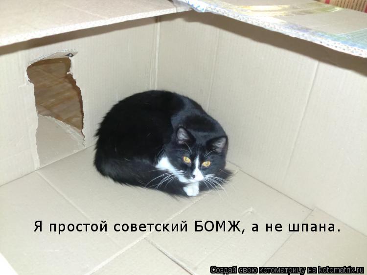 Я простой советский БОМЖ, а не шпана.... Котоматрица: Я простой советский БОМЖ, а не шпана.