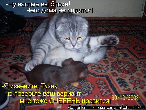 -Ну наглые вы блохи! Чего дома не сидится! но поверьте ваш вариант, мне тоже ОЧЕЕЕНЬ нравится! -Я изв... Котоматрица: -Ну наглые вы блохи! Чего дома не сидится! но поверьте ваш вариант, мне тоже ОЧЕЕЕНЬ нравится! -Я извените, Тузик,