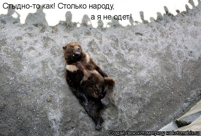 Стыдно-то как! Столько народу, а я не одет!... Котоматрица: Стыдно-то как! Столько народу, а я не одет!