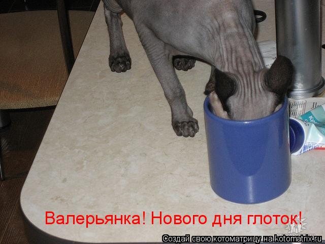 Котоматрица: Валерьянка! Нового дня глоток!