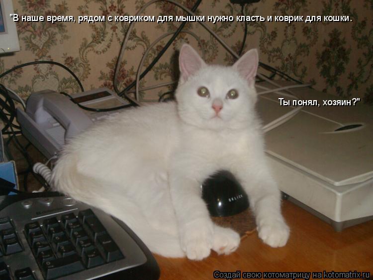 Котоматрица: "В наше время, рядом с ковриком для мышки нужно класть и коврик для кошки. Ты понял, хозяин?"