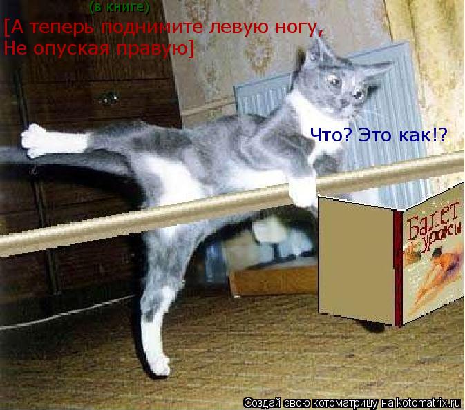 Котоматрица: [А теперь поднимите левую ногу, Не опуская правую] (в книге) Что? Это как!?