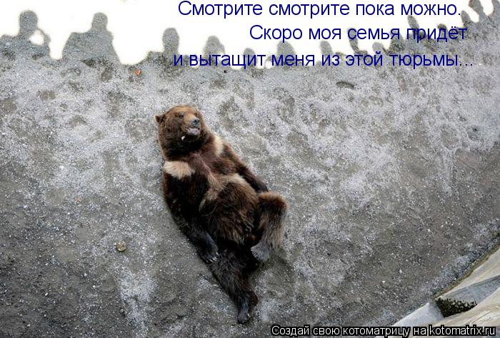 Скоро моя семья придёт Смотрите смотрите пока можно. и вытащит меня из этой тюрьмы...... Котоматрица: Скоро моя семья придёт Смотрите смотрите пока можно. и вытащит меня из этой тюрьмы...