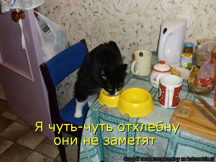 Я чуть-чуть отхлебну они не заметят... Котоматрица: Я чуть-чуть отхлебну они не заметят