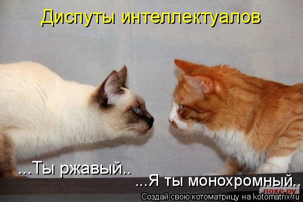 Котоматрица: ...Ты ржавый.. ...Я ты монохромный.. Диспуты интеллектуалов