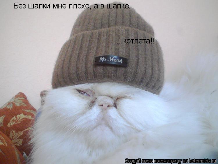 Котоматрица: Без шапки мне плохо, а в шапке... ...котлета!!!