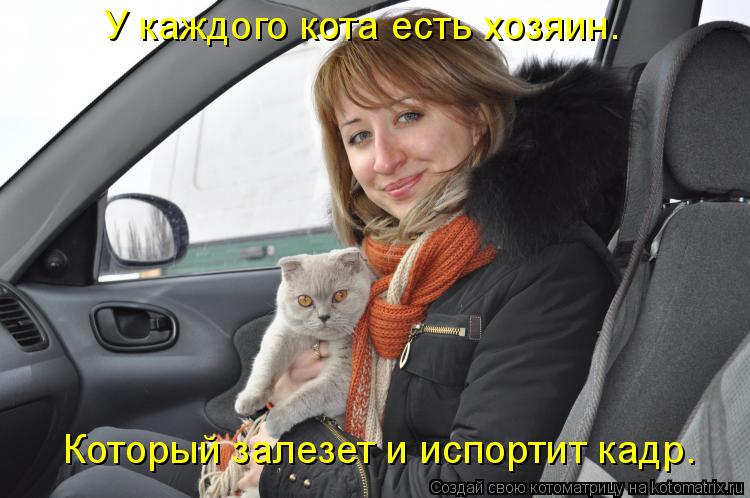 У каждого кота есть хозяин. Который залезет и испортит кадр.... Котоматрица: У каждого кота есть хозяин. Который залезет и испортит кадр.