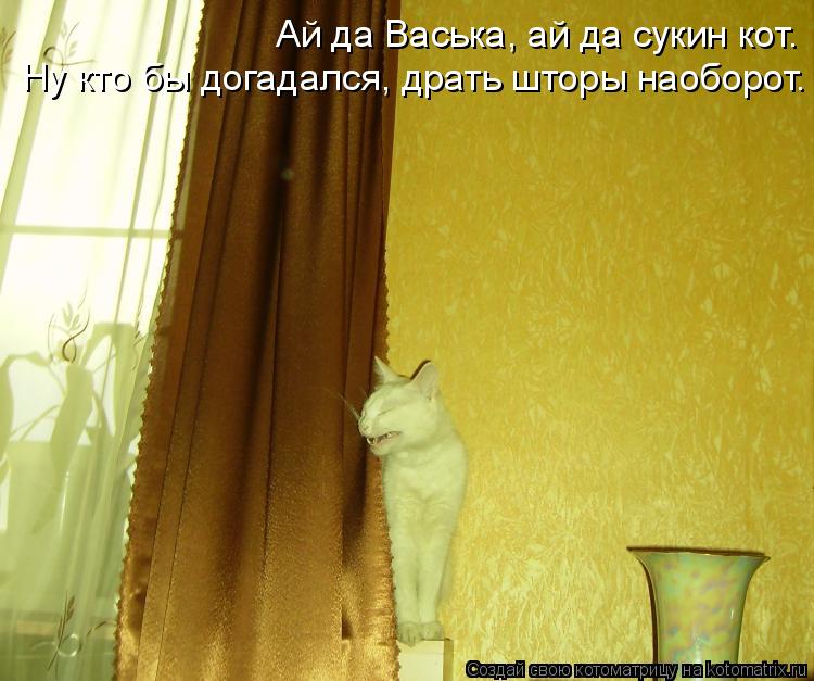 Котоматрица: Ай да Васька, ай да сукин кот. Ну кто бы догадался, драть шторы наоборот.