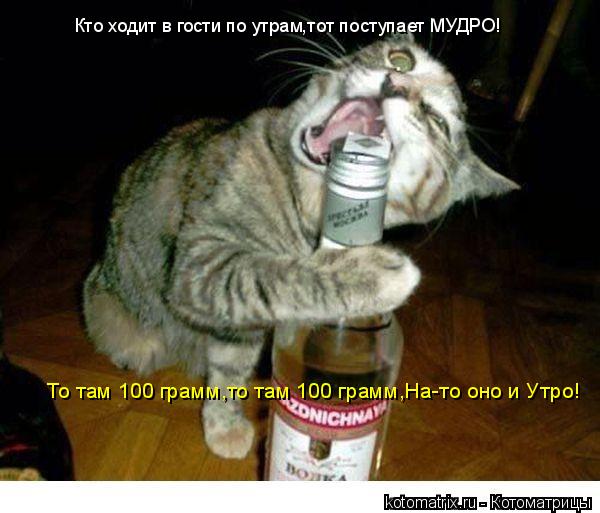 Котоматрица: Кто ходит в гости по утрам,тот поступает МУДРО! То там 100 грамм,то там 100 грамм,На-то оно и Утро!