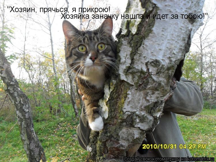 "Хозяин, прячься, я прикрою! Хозяйка заначку нашла и идет за тобою!"... Котоматрица: "Хозяин, прячься, я прикрою! Хозяйка заначку нашла и идет за тобою!"