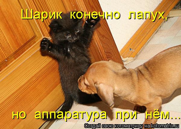 Шарик конечно лапух, но аппаратура при нём...... Котоматрица: Шарик конечно лапух, но аппаратура при нём...