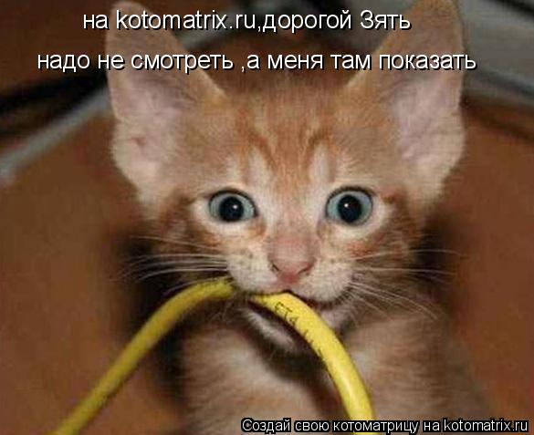 на kotomatrix.ru,дорогой Зять надо не смотреть ,а меня там показать... Котоматрица: на kotomatrix.ru,дорогой Зять надо не смотреть ,а меня там показать
