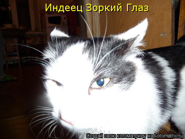 Индеец Зоркий Глаз... Котоматрица: Индеец Зоркий Глаз