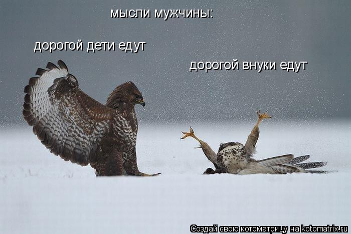мысли мужчины: дорогой дети едут дорогой внуки едут... Котоматрица: мысли мужчины: дорогой дети едут дорогой внуки едут