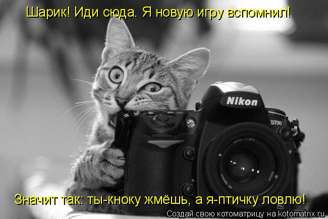 Значит так: ты-кноку жмёшь, а я-птичку ловлю! Шарик! Иди сюда. Я новую игру вспомнил!... Котоматрица: Значит так: ты-кноку жмёшь, а я-птичку ловлю! Шарик! Иди сюда. Я новую игру вспомнил!