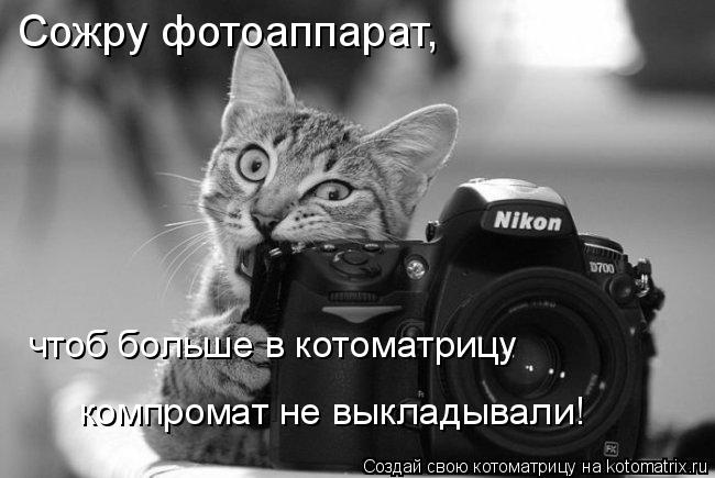 Сожру фотоаппарат, чтоб больше в котоматрицу компромат не выкладывали!... Котоматрица: Сожру фотоаппарат, чтоб больше в котоматрицу компромат не выкладывали!