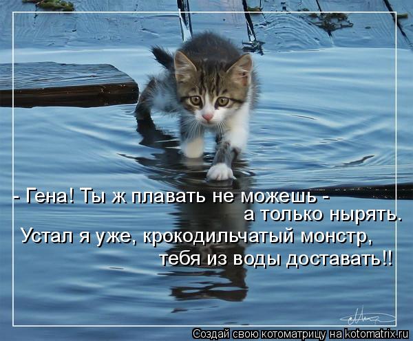 Котоматрица: - Гена! Ты ж плавать не можешь -  а только нырять. Устал я уже, крокодильчатый монстр, тебя из воды доставать!!