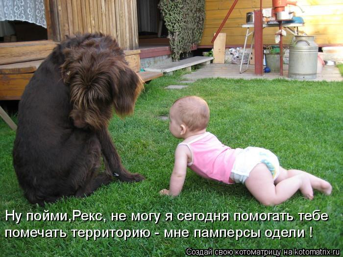 Ну пойми,Рекс, не могу я сегодня помогать тебе помечать территорию - мне памперсы одели !... Котоматрица: Ну пойми,Рекс, не могу я сегодня помогать тебе помечать территорию - мне памперсы одели !