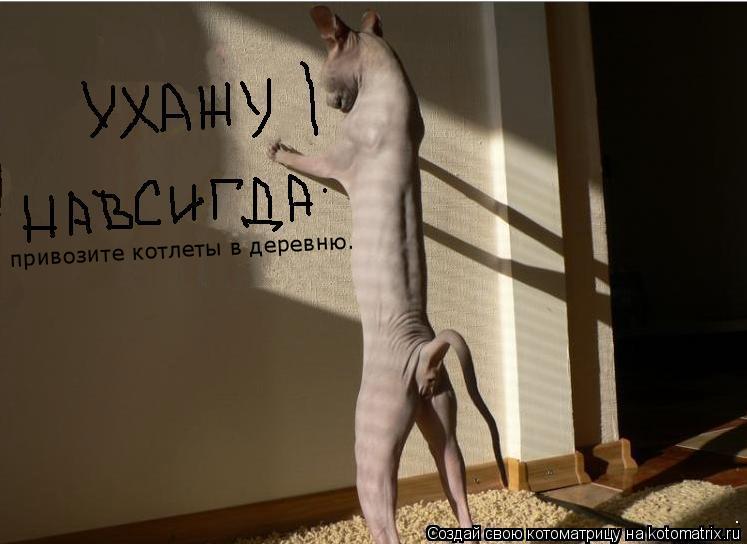 привозите котлеты в деревню.... Котоматрица: привозите котлеты в деревню.