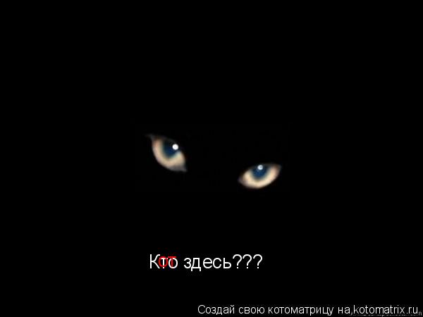 Кто здесь??? от... Котоматрица: Кто здесь??? от