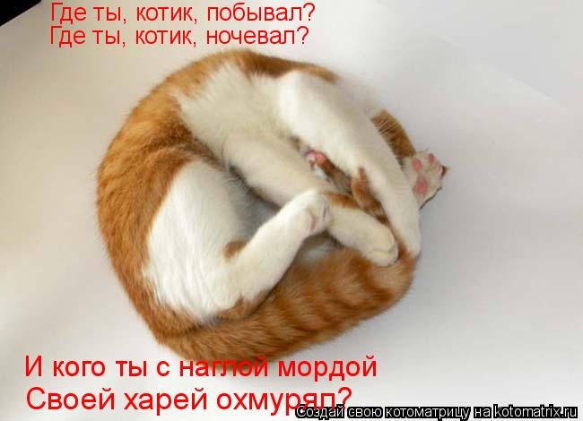 Где ты, котик, побывал? Где ты, котик, ночевал? И кого ты с наглой мордой Своей харей охмурял?... Котоматрица: Где ты, котик, побывал? Где ты, котик, ночевал? И кого ты с наглой мордой Своей харей охмурял?
