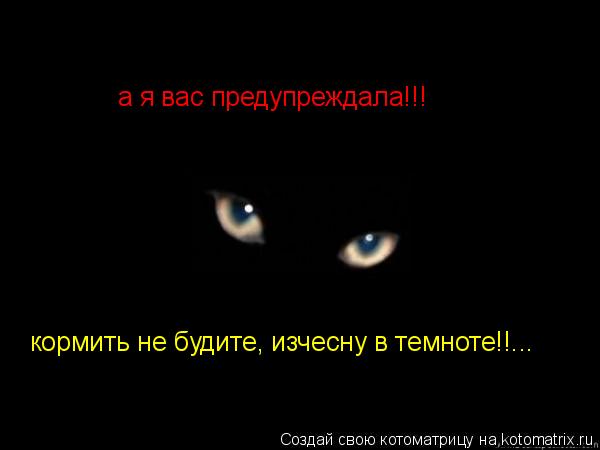 а я вас предупреждала!!! кормить не будите, изчесну в темноте!!...... Котоматрица: а я вас предупреждала!!! кормить не будите, изчесну в темноте!!...
