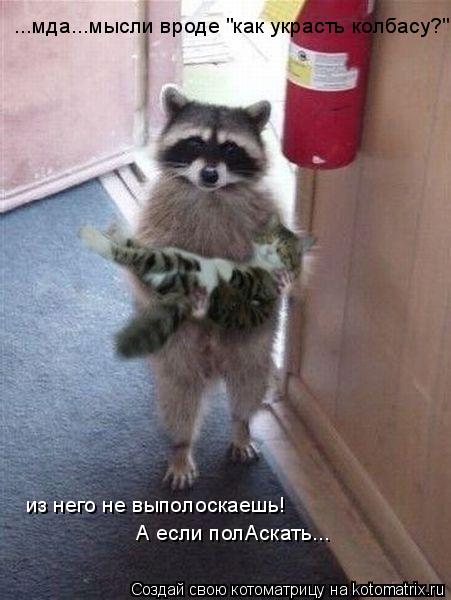 ...мда...мысли вроде "как украсть колбасу?" из него не выполоскаешь! А если полАскать...... Котоматрица: ...мда...мысли вроде "как украсть колбасу?" из него не выполоскаешь! А если полАскать...