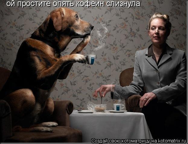 ой простите опять кофеин слизнула... Котоматрица: ой простите опять кофеин слизнула