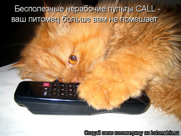 Бесполезные нерабочие пульты CALL - ваш питомец больше вам не помешает... Котоматрица: Бесполезные нерабочие пульты CALL - ваш питомец больше вам не помешает
