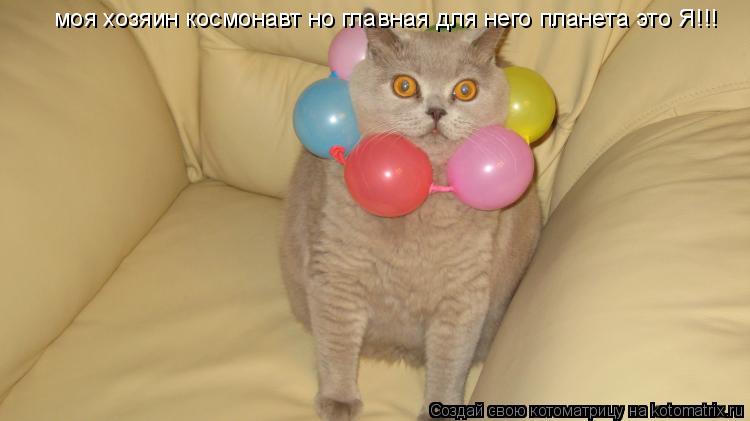 моя хозяин космонавт но главная для него планета это Я!!!... Котоматрица: моя хозяин космонавт но главная для него планета это Я!!!
