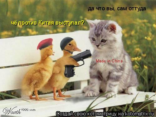 чё против Китая выступал? да что вы, сам оттуда Made in China... Котоматрица: чё против Китая выступал? да что вы, сам оттуда Made in China