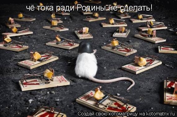 чё тока ради Родины не сделать!... Котоматрица: чё тока ради Родины не сделать!
