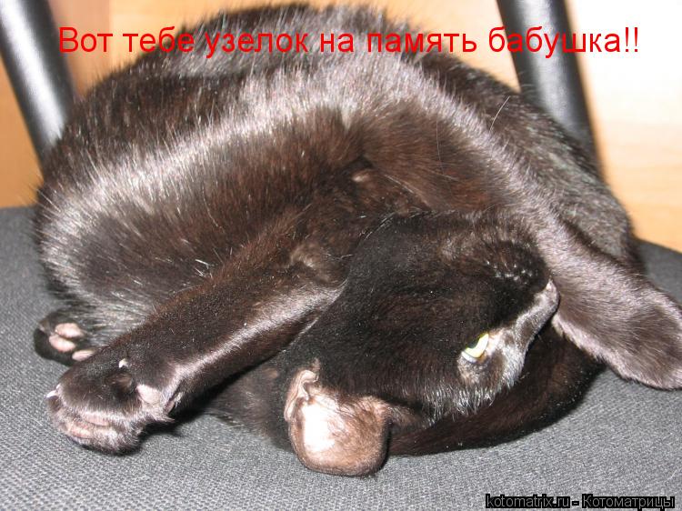 Котоматрица: Вот тебе узелок на память бабушка!!