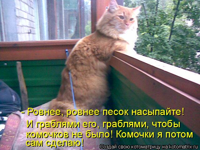 Котоматрица: - Ровнее, ровнее песок насыпайте! И граблями его, граблями, чтобы комочков не было! Комочки я потом  сам сделаю!