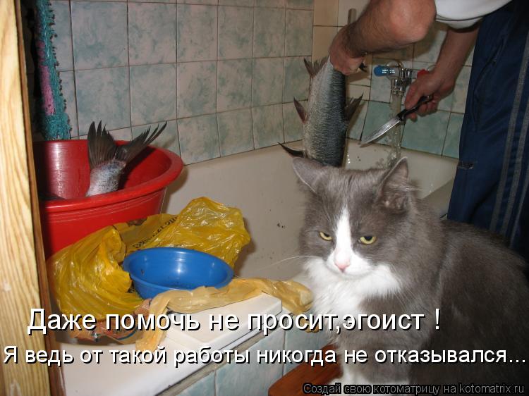 Котоматрица: Даже помочь не просит,эгоист ! Я ведь от такой работы никогда не отказывался...