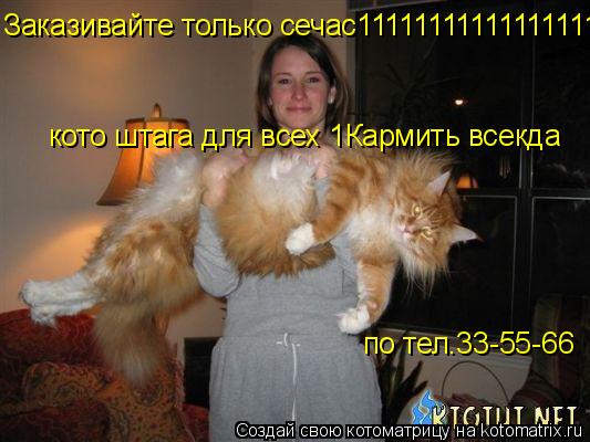 Котоматрица: Заказивайте только сечас11111111111111111111111111111111111!!!!!!!!!!!!!!!!!!!1 кото штага для всех 1 кото штага для всех 1 кото штага для всех 1Карми