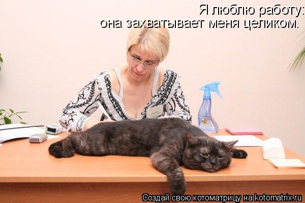 Я люблю работу: она захватывает меня целиком. она захватывает меня целиком.... Котоматрица: Я люблю работу: она захватывает меня целиком. она захватывает меня целиком.
