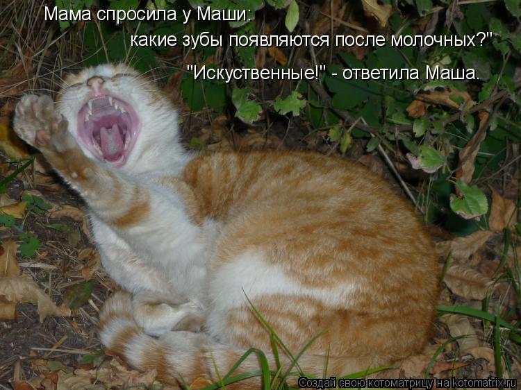 Котоматрица: Мама спросила у Маши:     какие зубы появляются после молочных?"    "Искуственные!" - ответила Маша.