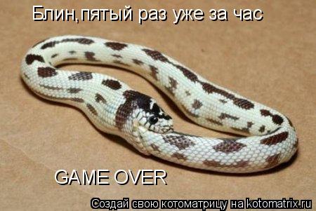 Котоматрица: Блин,пятый раз уже за час GAME OVER