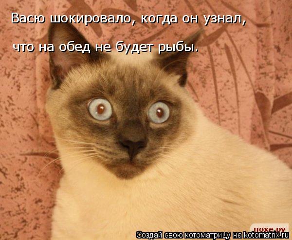 Котоматрица: Васю шокировало, когда он узнал, что на обед не будет рыбы.