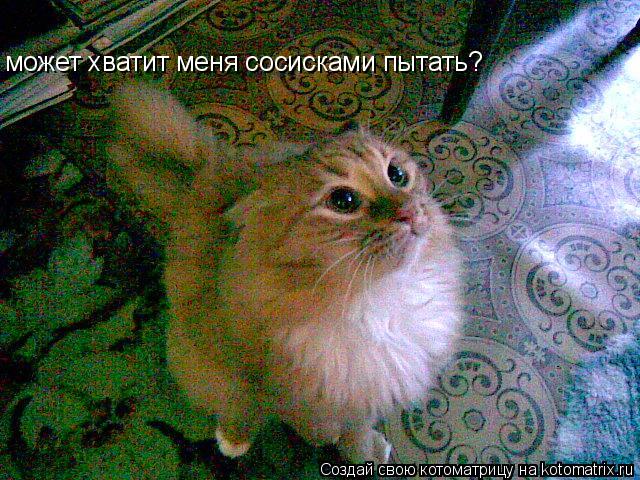 может хватит меня сосисками пытать?... Котоматрица: может хватит меня сосисками пытать?