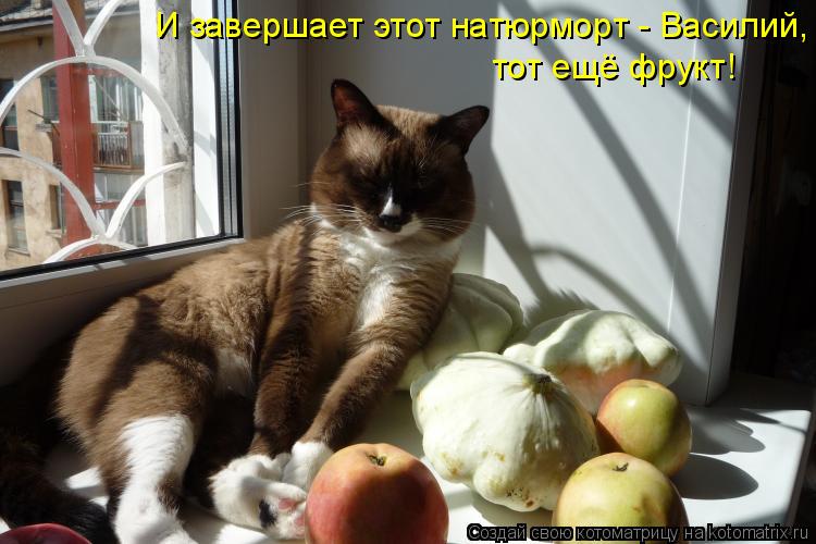 Котоматрица: И завершает этот натюрморт - Василий,  тот ещё фрукт!