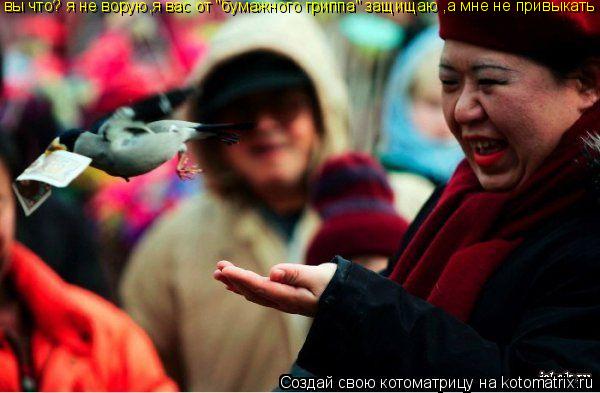 вы что? я не ворую,я вас от "бумажного гриппа" защищаю ,а мне не привыкать... Котоматрица: вы что? я не ворую,я вас от "бумажного гриппа" защищаю ,а мне не привыкать