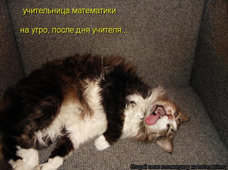 учительница математики на утро, после дня учителя...... Котоматрица: учительница математики на утро, после дня учителя...